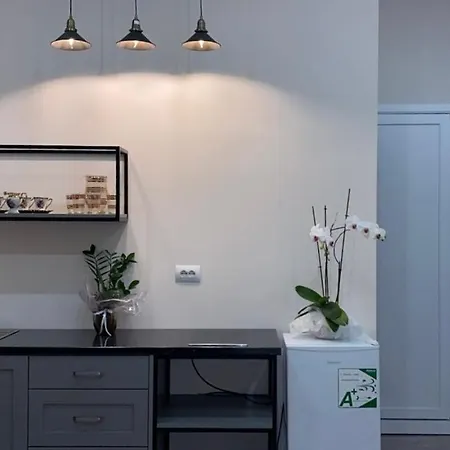 Citycenter Apartment